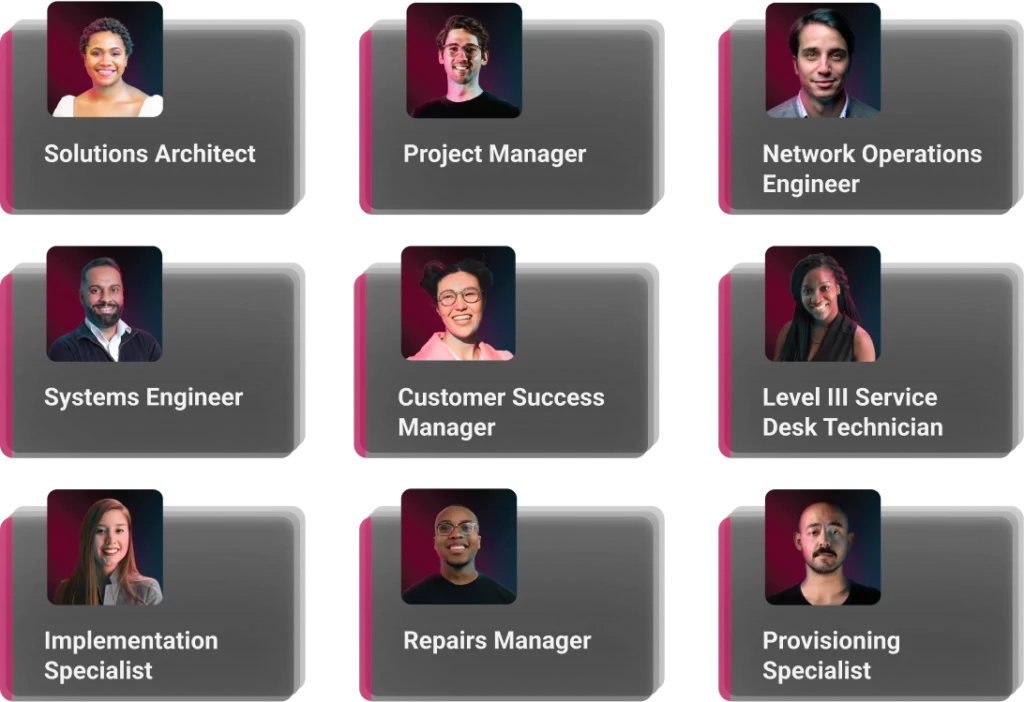 Team of IT experts